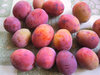 Luumu - Prunus domestica `Parikkalan Tummaluumu` 150-200
