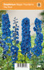 Jaloritarinkannus, sininen - Delphinium Magic Fountains 'Sky Blue'