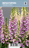 Tarhasormustinkukka - Digitalis purpurea 'Dalmation Rose'