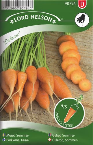 Porkkana, Kesä- 'Oxheart'