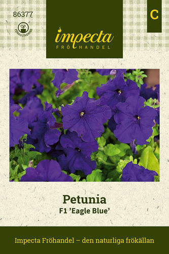Petunia Eagle Blue