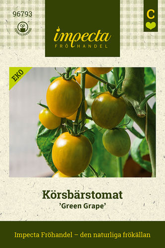 Tomaatti, Kirsikka- 'Green Grape'