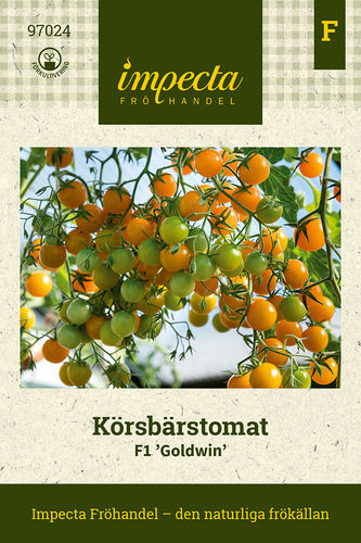 Tomaatti, Kirsikka- 'Goldwin'