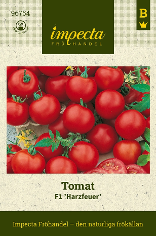 Tomaatti 'Harzfeuer'